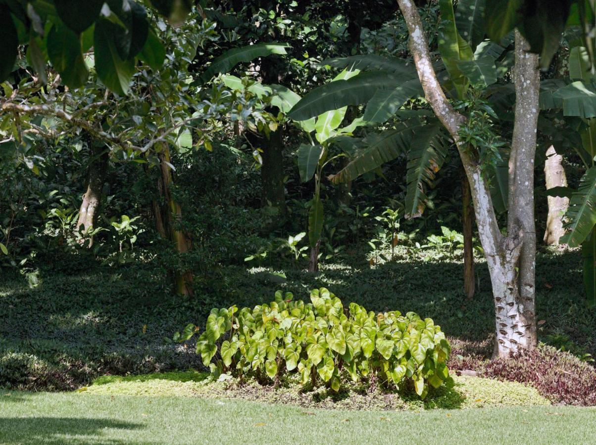Estalagem O Sitio -